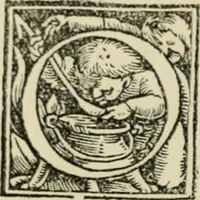 An illustration from Early woodcut initials : containing over thirteen hundred reproductions of ornamental letters of the fifteenth and sixteenth centuries (1908)