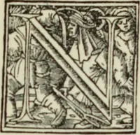 An illustration from Early woodcut initials : containing over thirteen hundred reproductions of ornamental letters of the fifteenth and sixteenth centuries (1908)