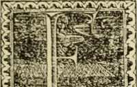 An illustration from Early woodcut initials : containing over thirteen hundred reproductions of ornamental letters of the fifteenth and sixteenth centuries (1908)