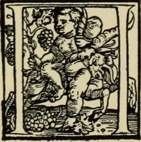 An illustration from Early woodcut initials : containing over thirteen hundred reproductions of ornamental letters of the fifteenth and sixteenth centuries (1908)