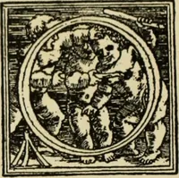 An illustration from Early woodcut initials : containing over thirteen hundred reproductions of ornamental letters of the fifteenth and sixteenth centuries (1908)