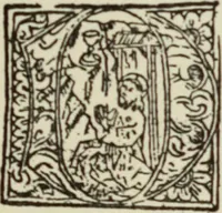 An illustration from Early woodcut initials : containing over thirteen hundred reproductions of ornamental letters of the fifteenth and sixteenth centuries (1908)