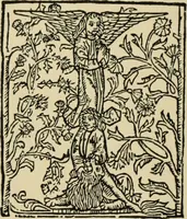 An illustration from Early woodcut initials : containing over thirteen hundred reproductions of ornamental letters of the fifteenth and sixteenth centuries (1908)