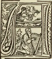 An illustration from Early woodcut initials : containing over thirteen hundred reproductions of ornamental letters of the fifteenth and sixteenth centuries (1908)