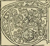 An illustration from Early woodcut initials : containing over thirteen hundred reproductions of ornamental letters of the fifteenth and sixteenth centuries (1908)