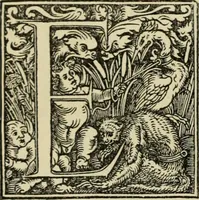 An illustration from Early woodcut initials : containing over thirteen hundred reproductions of ornamental letters of the fifteenth and sixteenth centuries (1908)