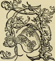 An illustration from Early woodcut initials : containing over thirteen hundred reproductions of ornamental letters of the fifteenth and sixteenth centuries (1908)