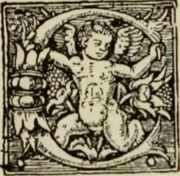 An illustration from Early woodcut initials : containing over thirteen hundred reproductions of ornamental letters of the fifteenth and sixteenth centuries (1908)
