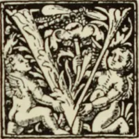An illustration from Early woodcut initials : containing over thirteen hundred reproductions of ornamental letters of the fifteenth and sixteenth centuries (1908)