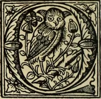 An illustration from Early woodcut initials : containing over thirteen hundred reproductions of ornamental letters of the fifteenth and sixteenth centuries (1908)