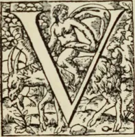 An illustration from Early woodcut initials : containing over thirteen hundred reproductions of ornamental letters of the fifteenth and sixteenth centuries (1908)