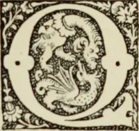 An illustration from Early woodcut initials : containing over thirteen hundred reproductions of ornamental letters of the fifteenth and sixteenth centuries (1908)