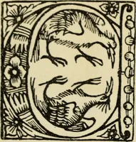 An illustration from Early woodcut initials : containing over thirteen hundred reproductions of ornamental letters of the fifteenth and sixteenth centuries (1908)