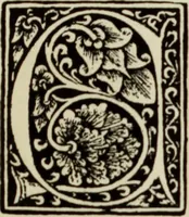 An illustration from Early woodcut initials : containing over thirteen hundred reproductions of ornamental letters of the fifteenth and sixteenth centuries (1908)