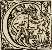 An illustration from Early woodcut initials : containing over thirteen hundred reproductions of ornamental letters of the fifteenth and sixteenth centuries (1908)