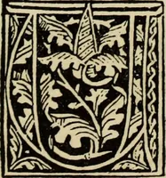 An illustration from Early woodcut initials : containing over thirteen hundred reproductions of ornamental letters of the fifteenth and sixteenth centuries (1908)