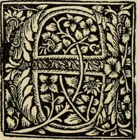 An illustration from Early woodcut initials : containing over thirteen hundred reproductions of ornamental letters of the fifteenth and sixteenth centuries (1908)