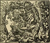 An illustration from Early woodcut initials : containing over thirteen hundred reproductions of ornamental letters of the fifteenth and sixteenth centuries (1908)