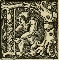 An illustration from Early woodcut initials : containing over thirteen hundred reproductions of ornamental letters of the fifteenth and sixteenth centuries (1908)