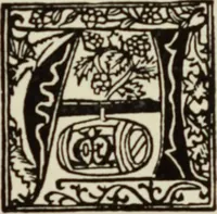 An illustration from Early woodcut initials : containing over thirteen hundred reproductions of ornamental letters of the fifteenth and sixteenth centuries (1908)