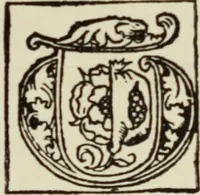 An illustration from Early woodcut initials : containing over thirteen hundred reproductions of ornamental letters of the fifteenth and sixteenth centuries (1908)