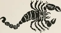 An illustration from Earthology; humanity characterized by the earth, sun, and zodiac, with prognostications from the moon (1901)