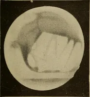 An illustration from The earth and sky; a primer of astronomy for young readers (1898)
