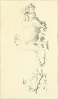 An illustration from Earthwork out of Tuscany (1908)