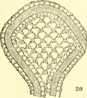 An illustration from Easy lessons for lace makers : fancy stitches illustrated showing clearly how to make all modern laces (1901)