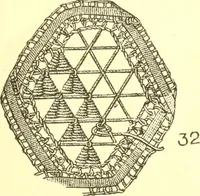 An illustration from Easy lessons for lace makers : fancy stitches illustrated showing clearly how to make all modern laces (1901)