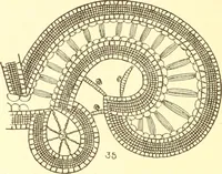 An illustration from Easy lessons for lace makers : fancy stitches illustrated showing clearly how to make all modern laces (1901)