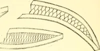 An illustration from Easy lessons for lace makers : fancy stitches illustrated showing clearly how to make all modern laces (1901)