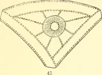 An illustration from Easy lessons for lace makers : fancy stitches illustrated showing clearly how to make all modern laces (1901)