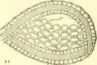 An illustration from Easy lessons for lace makers : fancy stitches illustrated showing clearly how to make all modern laces (1901)