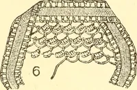 An illustration from Easy lessons for lace makers : fancy stitches illustrated showing clearly how to make all modern laces (1901)