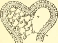 An illustration from Easy lessons for lace makers : fancy stitches illustrated showing clearly how to make all modern laces (1901)