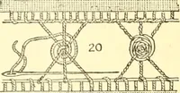 An illustration from Easy lessons for lace makers : fancy stitches illustrated showing clearly how to make all modern laces (1901)