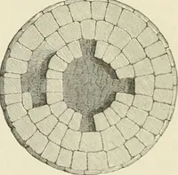 An illustration from The ecclesiastical architecture of Ireland, anterior to the Anglo-Norman invasion; comprising an essay on the origin and uses of the round towers of Ireland, which obtained the gold medal and prize of the Royal Irish Academy (1845)