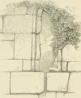 An illustration from The ecclesiastical architecture of Ireland, anterior to the Anglo-Norman invasion; comprising an essay on the origin and uses of the round towers of Ireland, which obtained the gold medal and prize of the Royal Irish Academy (1845)