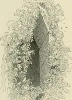 An illustration from The ecclesiastical architecture of Ireland, anterior to the Anglo-Norman invasion; comprising an essay on the origin and uses of the round towers of Ireland, which obtained the gold medal and prize of the Royal Irish Academy (1845)