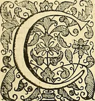 An illustration from The Ecclesiasticall historie : containing the Acts and monuments of martyrs, with a generall discourse of these later persecutions, horrible troubles and tumults, stirred up by Romish prelates in the Church: with divers other things incident, especially to this Realme of England and Scotland, as partly also to all other forraigne nations appertaining, from the time of Q. Maries entring upon the Crowne, to the reigne of our late gracious Soveraigne, Q. Elizabeth of blessed memorie (1641)