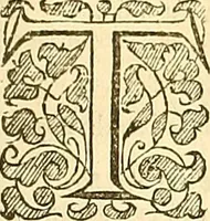 An illustration from The Ecclesiasticall historie : containing the Acts and monuments of martyrs, with a generall discourse of these later persecutions, horrible troubles and tumults, stirred up by Romish prelates in the Church: with divers other things incident, especially to this Realme of England and Scotland, as partly also to all other forraigne nations appertaining, from the time of Q. Maries entring upon the Crowne, to the reigne of our late gracious Soveraigne, Q. Elizabeth of blessed memorie (1641)