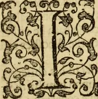 An illustration from The Ecclesiasticall historie : containing the Acts and monuments of martyrs, with a generall discourse of these later persecutions, horrible troubles and tumults, stirred up by Romish prelates in the Church: with divers other things incident, especially to this Realme of England and Scotland, as partly also to all other forraigne nations appertaining, from the time of Q. Maries entring upon the Crowne, to the reigne of our late gracious Soveraigne, Q. Elizabeth of blessed memorie (1641)