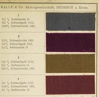 An illustration from Echtwollgelb GL, 2GL, 3GL : Anthrazurin G : Echtwollviolet 3RL (1923)