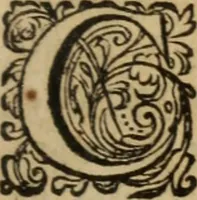 Picture 4 of 19 from Eclaircissement du fait et du sens de Jansenius, où l'on montre I. Que ce n'est point manquer au respect & à la soumission que l'on doit au Pape & aux evesques, que d'éclaircir l'Eglise sur ce fait ... II. Que les cinq propositions condamnées ne sont contenues dans le livre de Jansenius ny quant aux termes, ny quant au sens ... III. Que les disciples de S. Augustin n'ont jamais sontenu ces propositions ... IV. L'on examine tout ce qui a esté allegué de l'histoire ecclesiastique pour autoriser le procedé que l'on tient sur le fait de Jansenius. Contre les livres écrits & extraits de messieurs Pereyret, Morel, Chamillard, Annat, Amelote & autres (1660), leaf 20