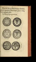 An illustration from Edict du roy portant nouvelle fabrication d'especes d'argent: augmentation du marc d'argent le roy, & des quarts d'escu, testons, & francs aux coins & armes de sa maiesté estans de leur juste poides: & continuation du cours des especes d'argent legers avec le remede des grains, jusques au dernier Mars prochain; & outre un droit de Seigneuriage sur les ouvrages d'Orfeurerie, & Tireurs d'or: Avec un nouvelle evaluation ... (1641)