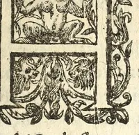 An illustration from Edict du roy sur la reformation du luxe de ce royaume, procedant de la somptuosité des habits, port de perles, pierreries, dorures, & autres excessiuitez. (1609)