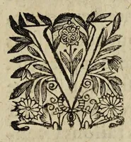 An illustration from Edict dv Roy portant creation des offices de commissaires receueurs hereditaires des deniers des saisies reelles ascauoir deux, où il y a Parlement, & d'vn en chacune ville & iustice royalle de ce royaume. (1629)
