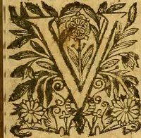 An illustration from Edict Dv Roy portant creation en chacune Election de deux Offices de Conseillers & Intendans particuliers des deniers communs & d'octroy, des Villes & Communautez de ce Royaume, ... : Verifié en la Chambredes Comptes le dernier de Decembre 1628. & en la Cour des Aydes le 3.Feurier 1629 (1630)