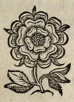 Picture 1 of 3 from Edict Dv Roy Svr La Pacification Des troubles de ce Royaume. Publié à Paris en Parlement, l'vnziesme iour d'Aoust, (1570), leaf 1